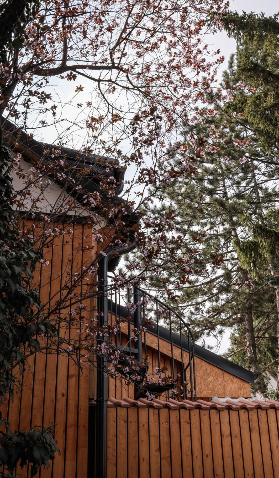 Golden Golem Hotel & Spa Praha Bagian luar foto
